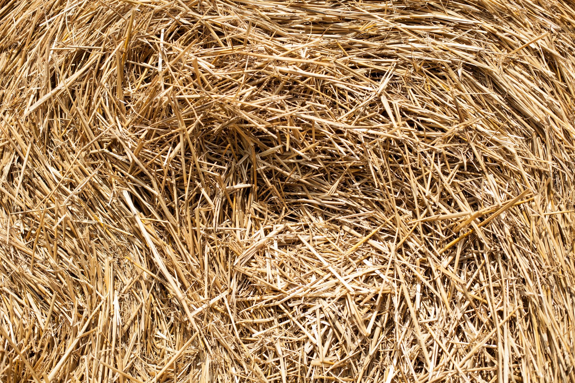 Hay Mulch