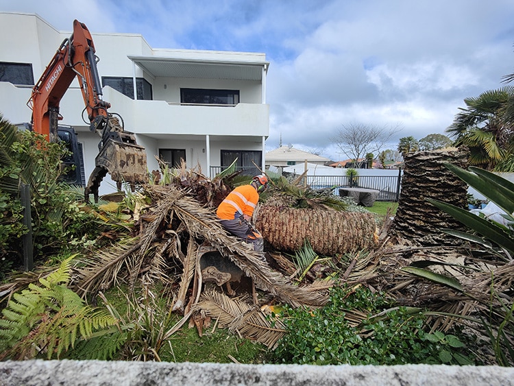 Arborist