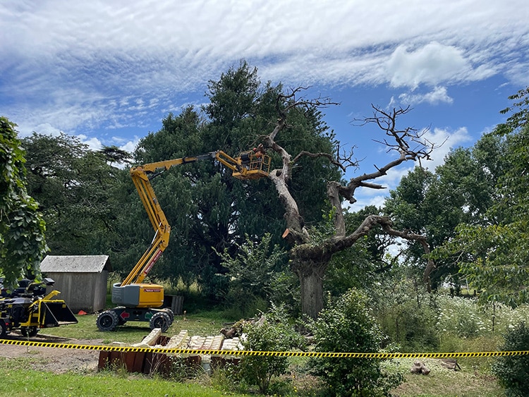 Arborist