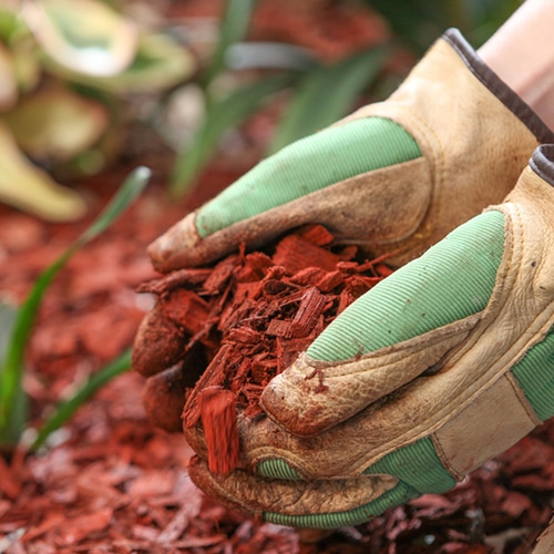 Comprehensive Guide to Garden Mulching