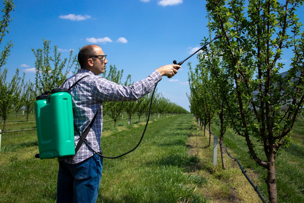 male-agronomist-treating-apple-trees-with-pesticides-orchard