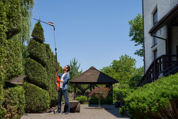 skilful male landscaper using high altitude hedge trimmer for topiary in park side view