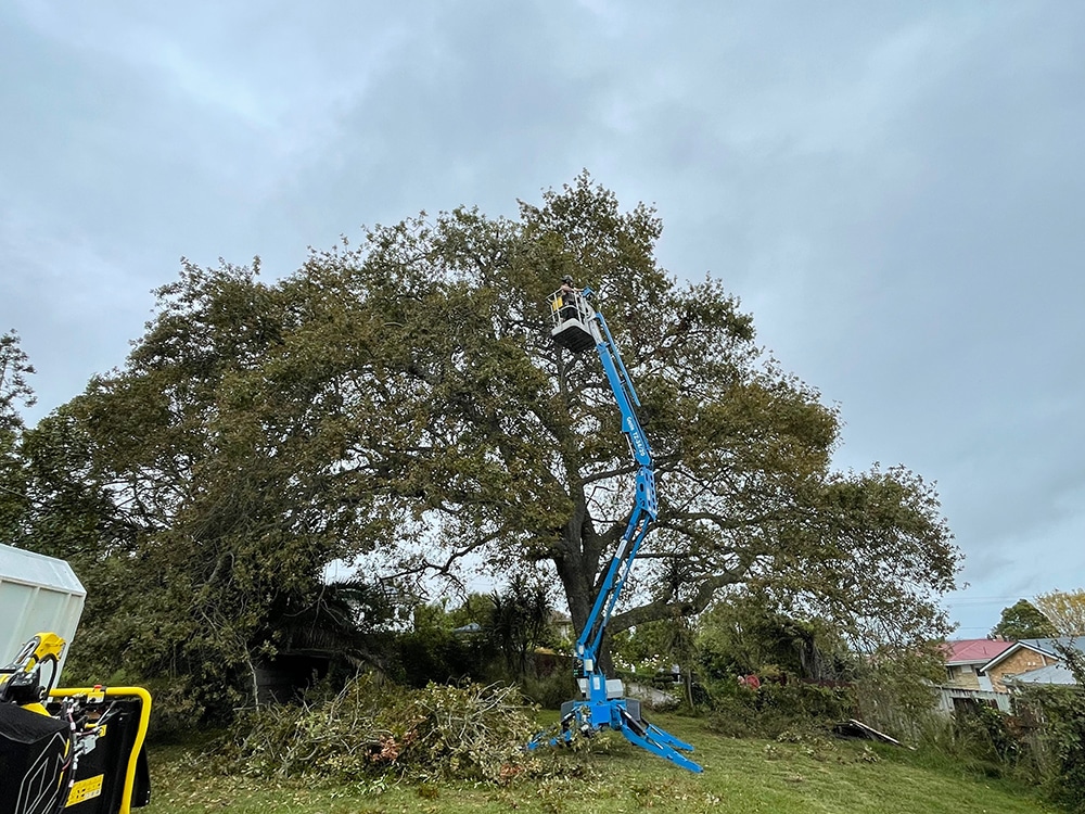 Tree Pruning