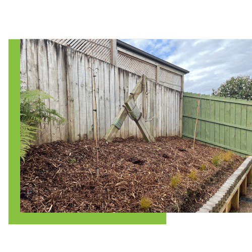 Residential Tree Planting in Hamilton