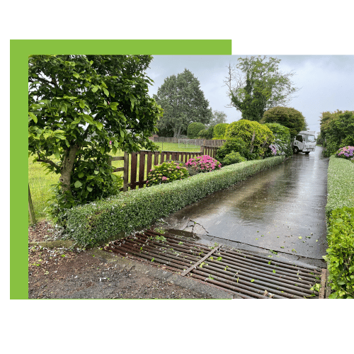 Hedge Trimming