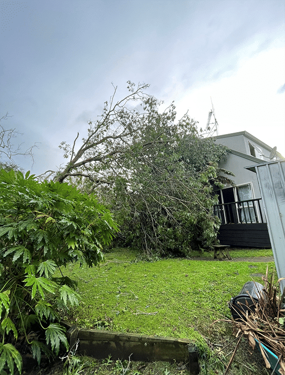 Emergency Tree Services Waikato