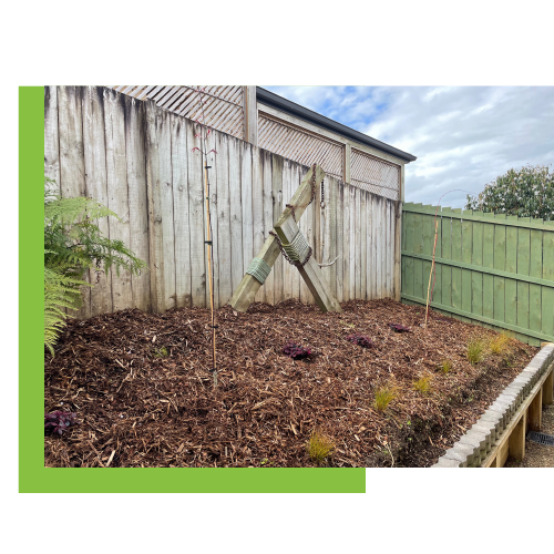 Residential Tree Planting in Hamilton