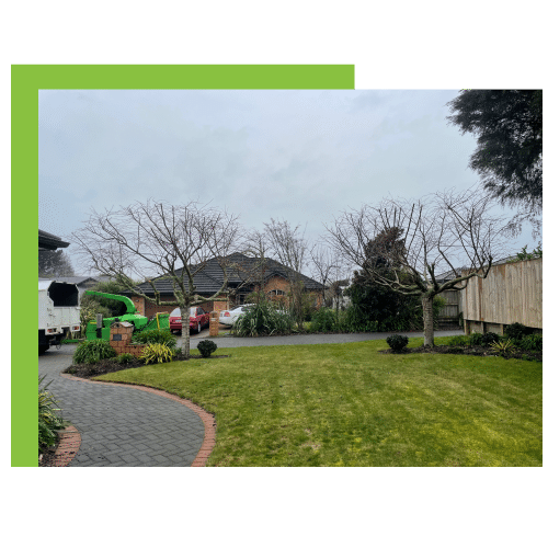 Tree Pruning Hamilton