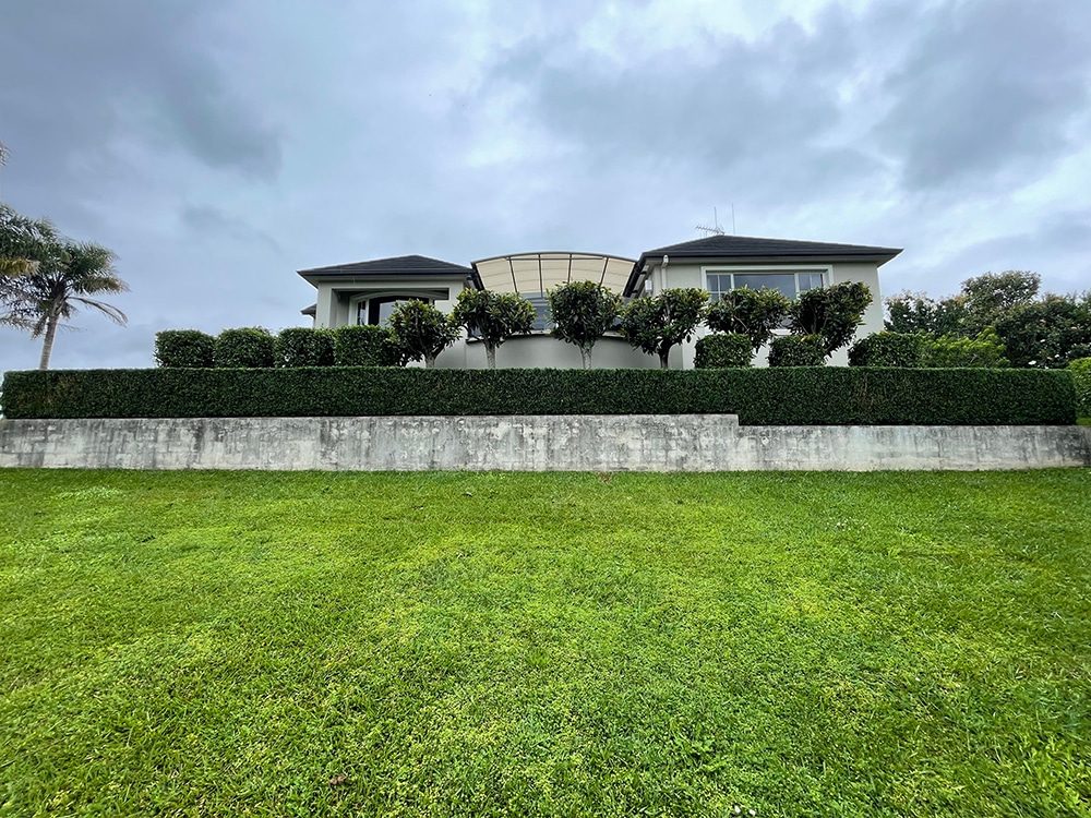 hedge trimming in Hamilton